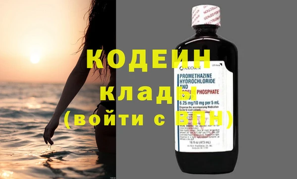 ПСИЛОЦИБИНОВЫЕ ГРИБЫ Дмитриев