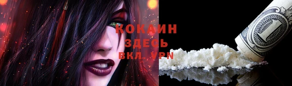 ГАЛЛЮЦИНОГЕННЫЕ ГРИБЫ Пересвет