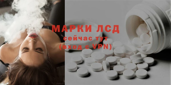 прущие грибы Снежинск