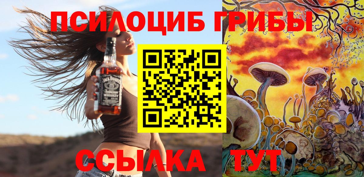 Псилоцибиновые грибы Psilocybine cubensis Чистополь