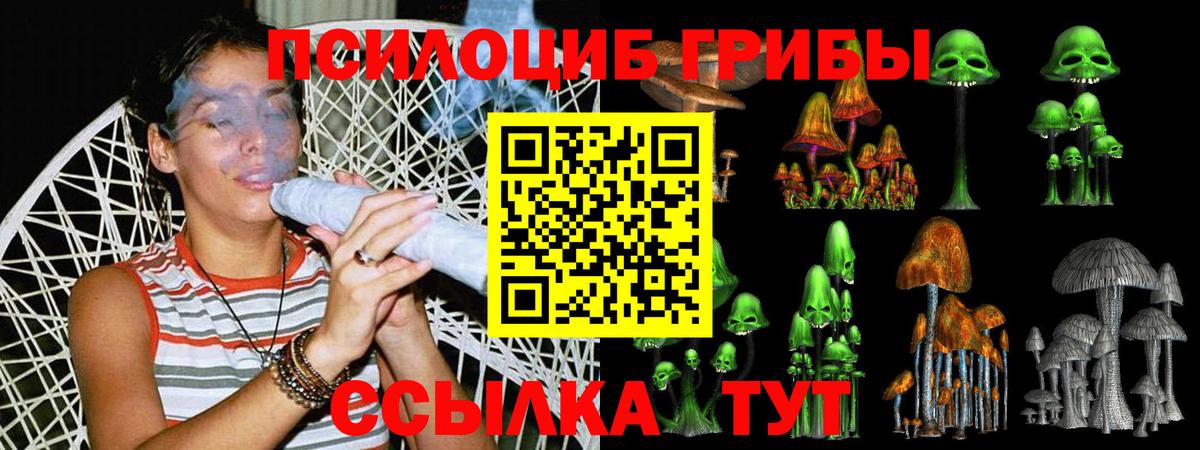 Псилоцибиновые грибы прущие грибы  Вход с VPN  Чистополь 
