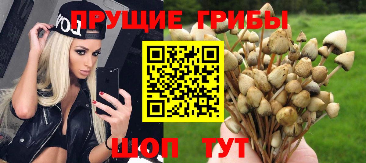 Псилоцибиновые грибы ЛСД  Чистополь 