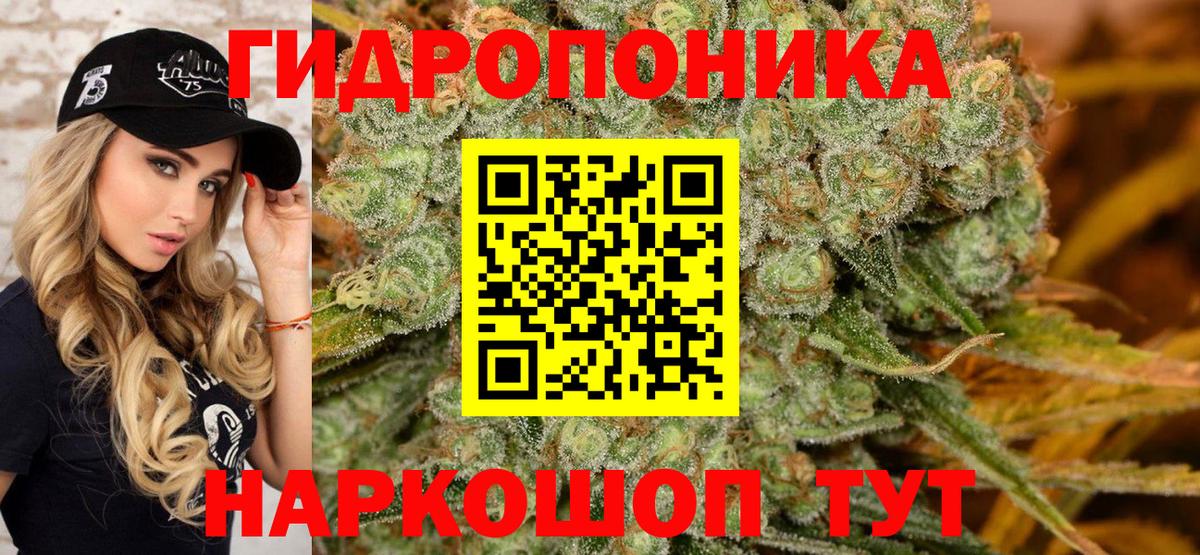 Марихуана White Widow  Канабис SATIVA & INDICA  Вход с VPN  Бошки Шишки планчик  Марихуана гибрид  Чистополь 